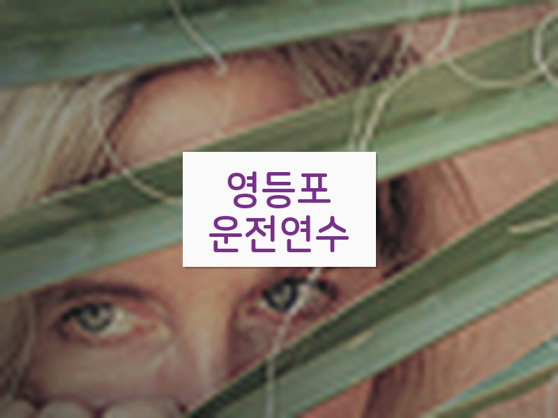 영등포운전연수 후기