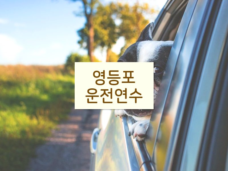 영등포운전연수 후기