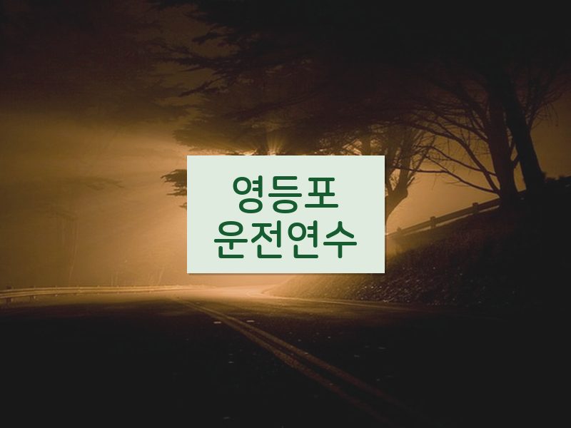 영등포운전연수 후기