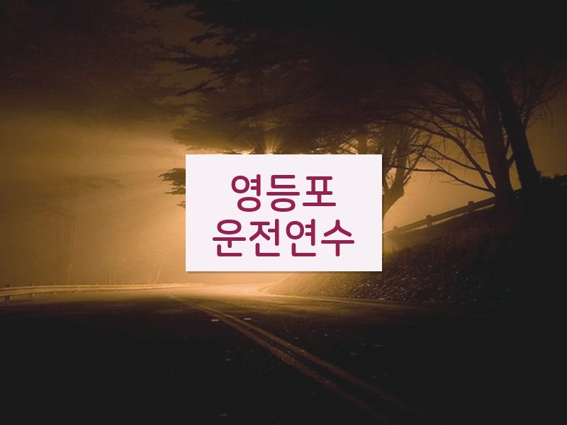 영등포운전연수 후기