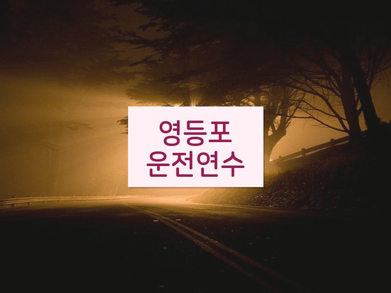 영등포운전연수 후기