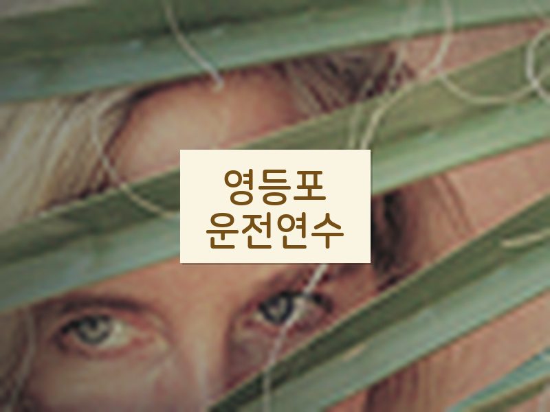 영등포운전연수 후기