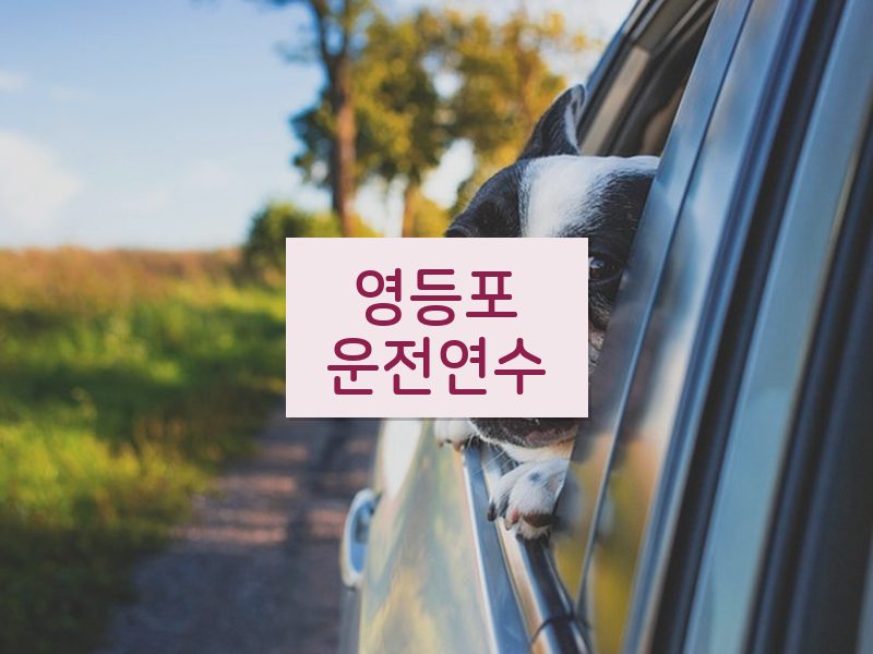 영등포운전연수 후기