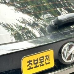 영등포 도로운전연수 10시간 비용 내돈내산 후기 후기 이미지
